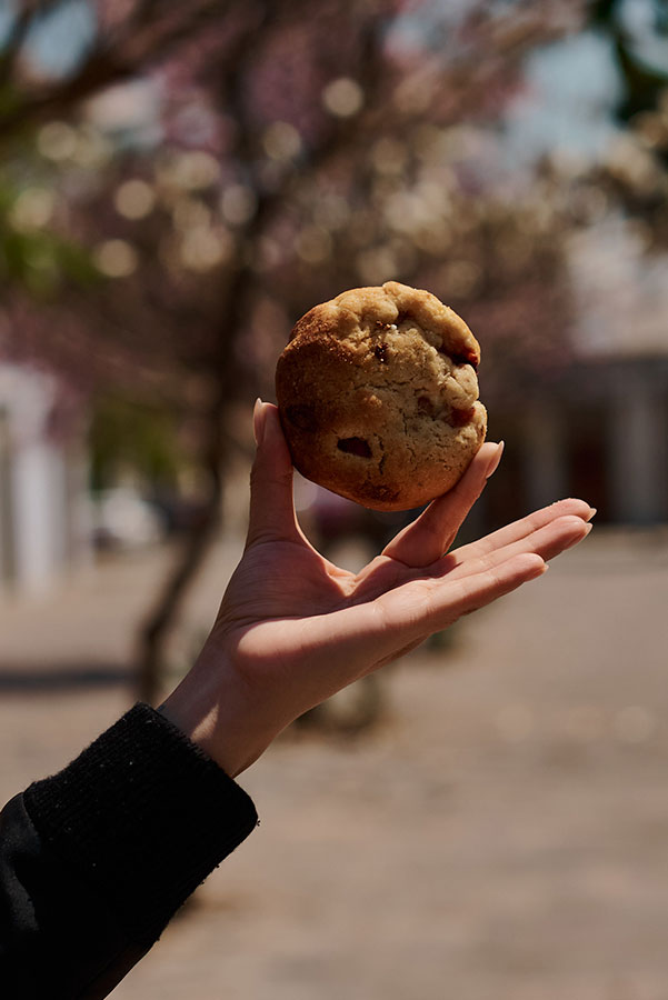cafepuntopaz-oaxaca-galleta